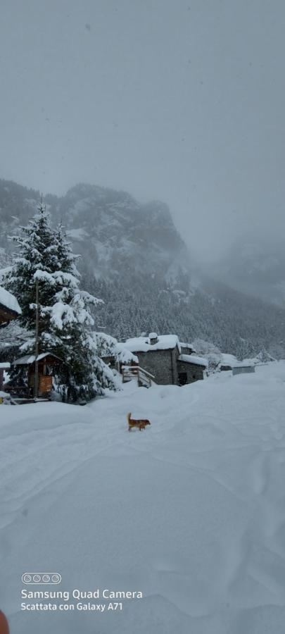 Hotel Ristorante Bucaneve سان مارتينو المظهر الخارجي الصورة